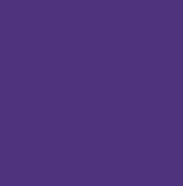 巴斯夫颜料紫Cromophtal Violet L5805